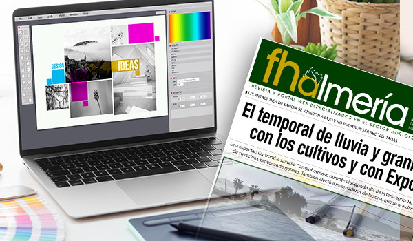 Diseño gráfico