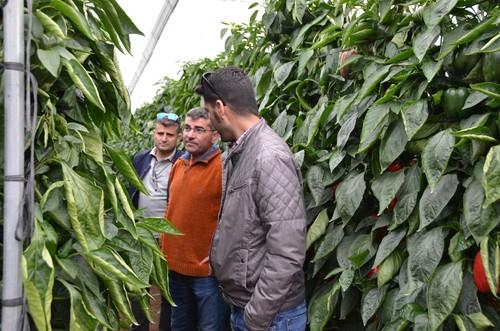 Resolviendo dudas con los técnicos de la casa de semillas