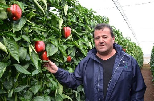 Serafín Vargas, técnico de Crisol Agroquímos.