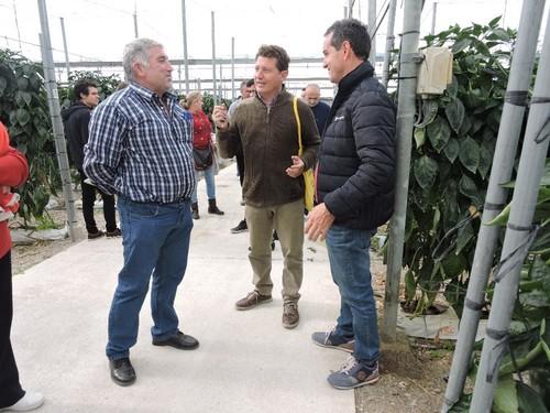 José Luis Ruipérez, responsable de pimiento de Rijk Zwaan (centro) junto a técnicos y agricultores