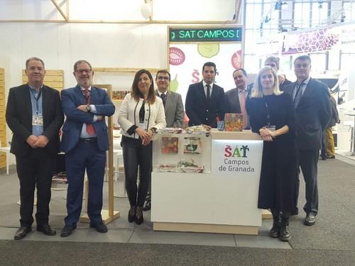 Parte del equipo de Campos de Granada