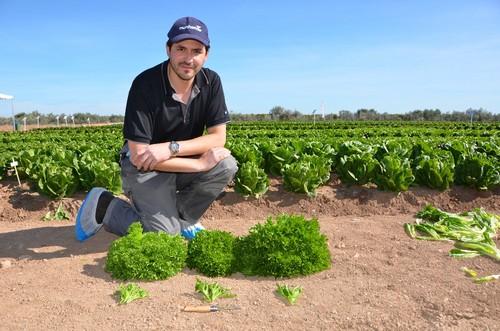 Brian Peñaloza con variedades multileaf.