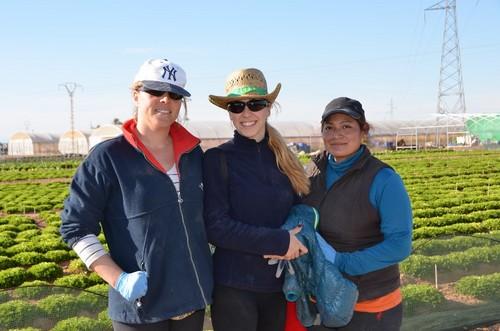 Trabajadoras de la finca experimental.