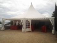 La carpa del vinillo