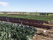 Los asistentes anduvieron toda la finca.
