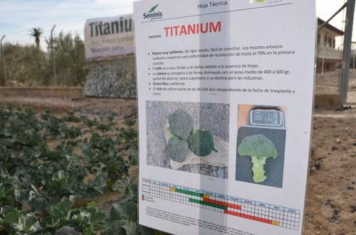 Ficha técnica de Titanium
