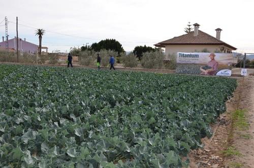  Vista de la finca en la que se celebraron las jornadas de campo.