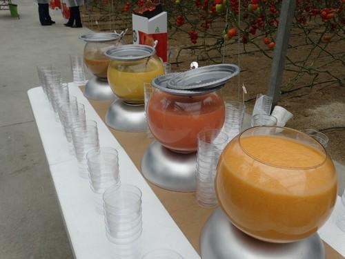 Se hicieron diferentes gazpachos con las variedades de tomate RZ