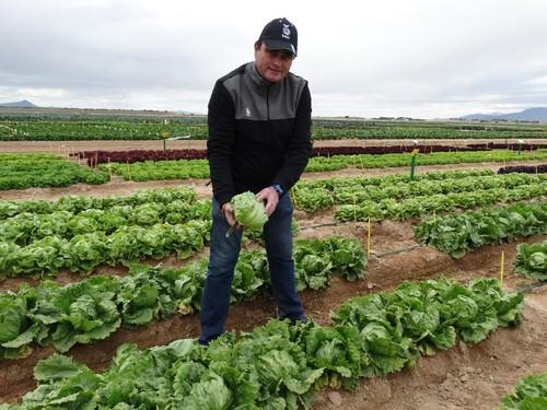 Damián Pallarés, delegado comercial en la zona de Murcia y Almería de Bejo Ibérica.