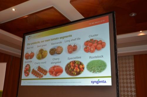 Los tipos de tomate con los que trabaja Syngenta.