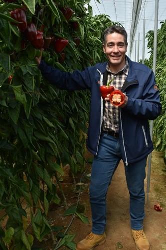 José Manuel López, responsable de desarrollo de pimiento y cucurbitáceas en España y Portugal de Hazera, junto al  California Ochoymedio