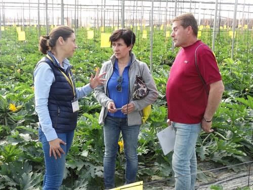 Explicando las características de esta nueva variedad.