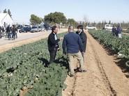 Las variedades de Rijk Zwaan han centrado el interés de los asistentes.