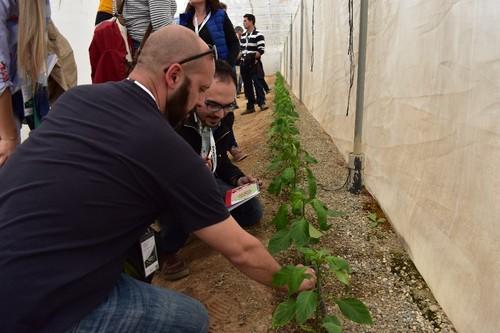 Visita en campo para ver el ensayo en pimiento.
