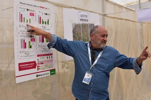 Explicaciones sobre los ensayos realizados en tomate.