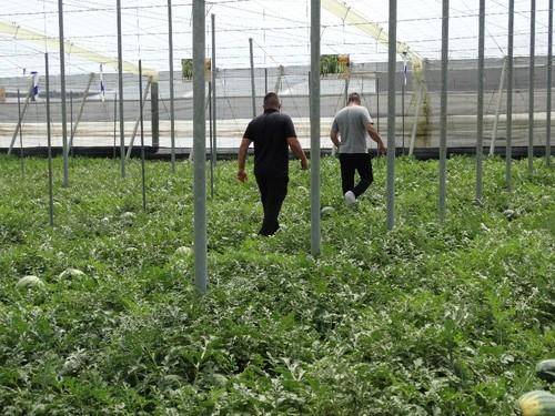 La finca en la que se lleva a cabo este foro se ubica en El Ejido.