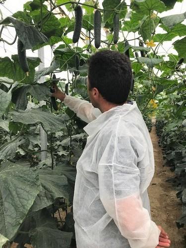 Este agricultor no se perdió ni un detalle de la planta y el fruto