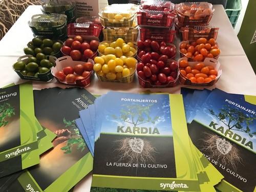 Stand de Syngenta con diferentes variedades de tomate
