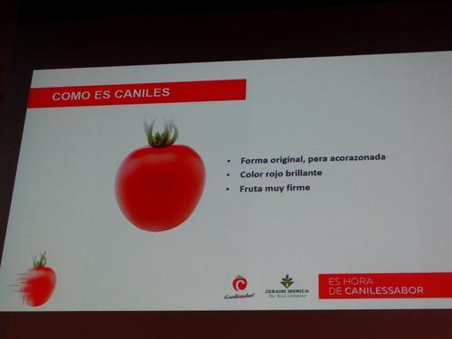 Las características del tomate Caniles.