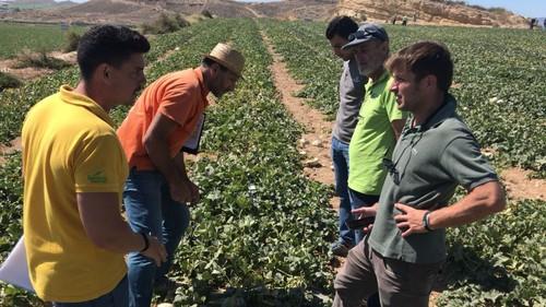 Una de las visitas cerradas al campo para conocer melón y sandía de Seminis.