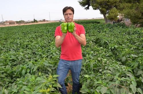 Roberto Sabando con pimientos de la casa de semillas.