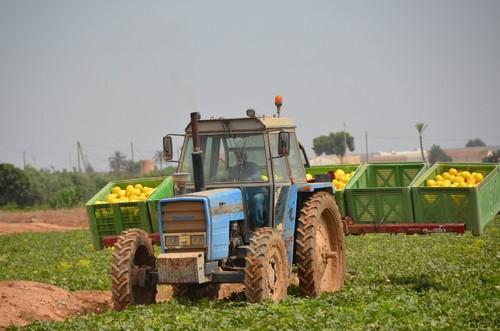 Tractor con melones de Ramiro Arnedo.