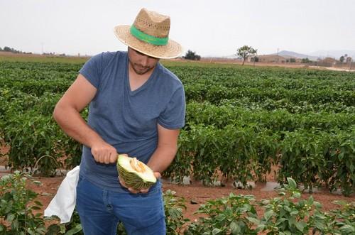 Antonio Zafra cortando melón.
