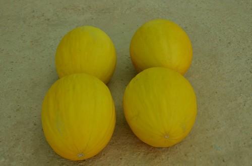 Melón amarillo 30280 (Dulcesol) de Ramiro Arnedo, una oda a la homogeneidad.