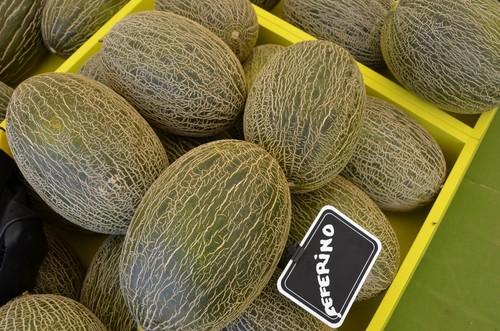 Variedad Ceferino, un piel de sapo de Semillas Fitó.