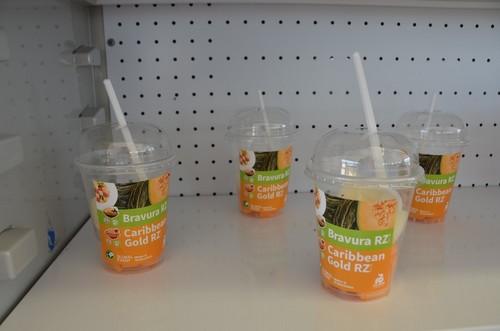 Los asistentes al Global Event Melon & Watermelon pudieron degustar todas y cada una de las variedades.