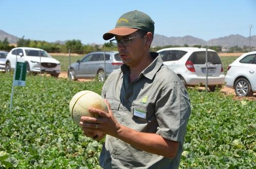 Diego Maestre, Crop Coordinator Melón, Sandía y Calabacín de Rijk Zwaan.