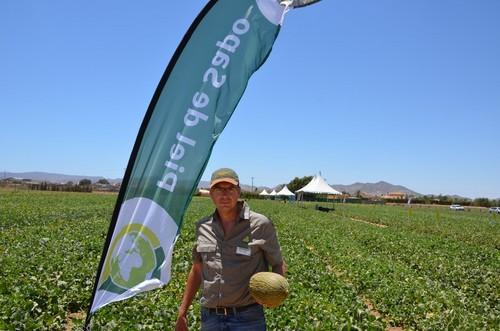 Diego Maestre, Crop Coordinator Melón, Sandía y Calabacín de Rijk Zwaan.
