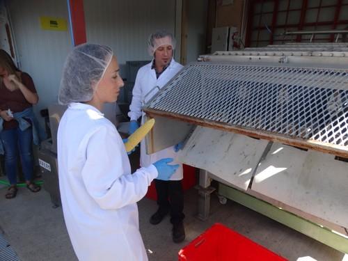 'Cocina de Ideas' realizó una demostración práctica con variedades de maiz de Fitó.
