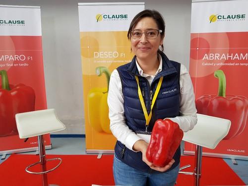NUKKA (CLX PLRJ523) es el primer pimiento lamuyo de HM.CLAUSE.