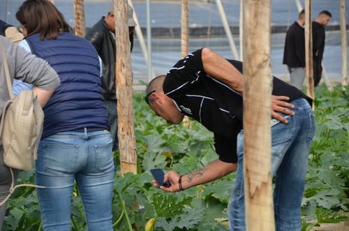 Un cultivo, sin duda, para fotografiar