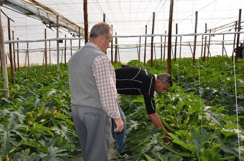 Las fincas que se han visitado estaban ubicadas en Campohermoso