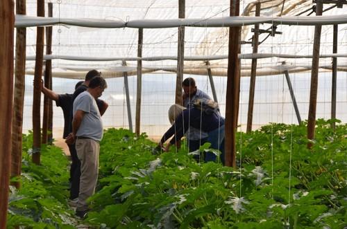 Cualquier aspecto es importante para valorar la variedad