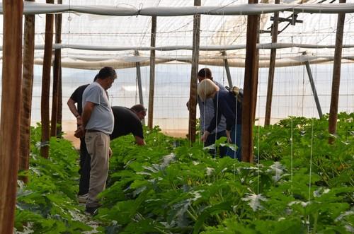 Mítica no pasa desapercibido para estos agricultores