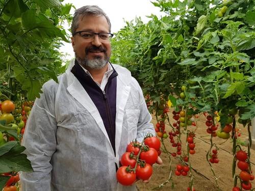 Juan Miguel Robles, de Seminis, con un ramo de la variedad Laujar.