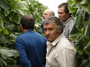 Agricultores de todos los lugares, y expertos en pepino.