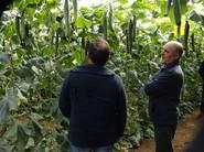 Agricultores valorando la variedad.