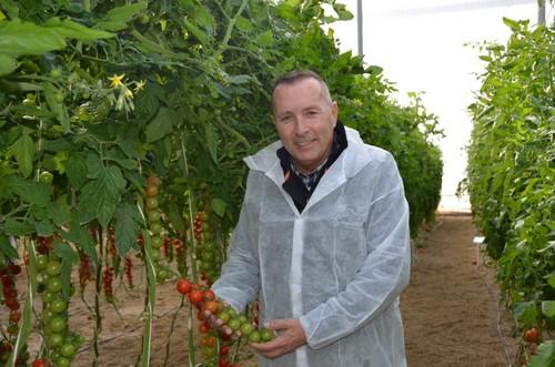 Albert Alcón muestra orgulloso este espectacular fruto de cherry redondo