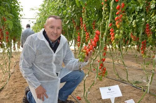 Albert Alcón, sales manager Iberica de ISI Sementi