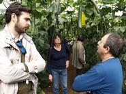 Debate sobre las cualidades del pepino de Syngenta.