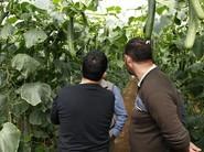 Dialogos entre los agricultores sobre el cultivo.