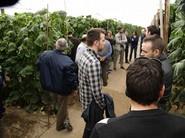 Grupos de agricultores bien atendidos por los técnicos.