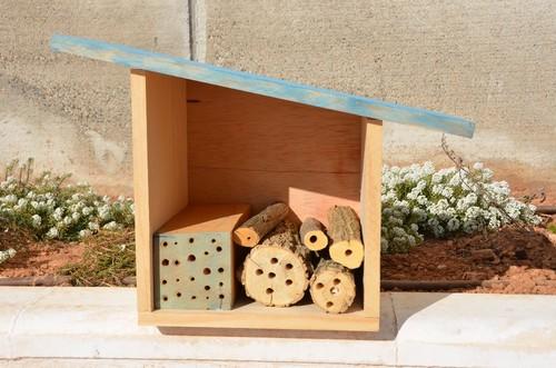 Casas para insectos.