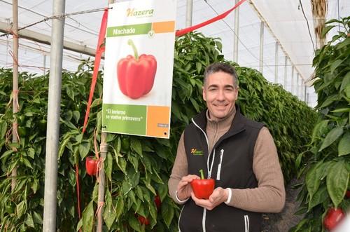 Jose Manuel López, responsable de pimiento en Hazera España.