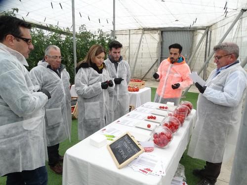 Se hicieron tests de sabor con distintas variedades de cherry.