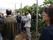 Los agricultores atendiendo a las indicaciones de los técnicos.